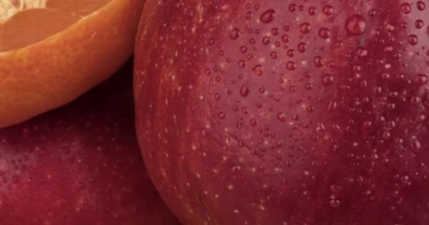 Diferentes Frutas Frescas Maduras Primer Plano — Vídeo de stock