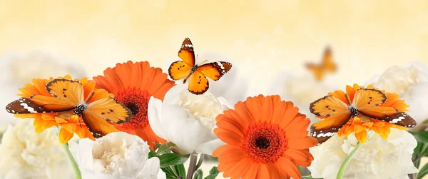 Belles Fleurs Avec Des Papillons Sur Fond Clair — Photo