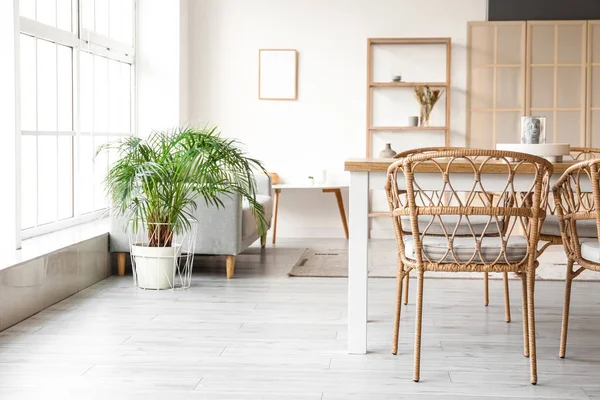 Interiör Ljus Matsal Med Bord Soffa Och Hyllenhet — Stockfoto