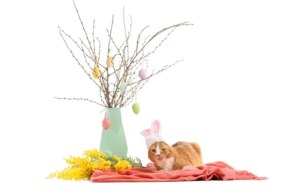 Lindo Gato Orejas Conejo Jarrón Con Ramas Árbol Huevos Pascua — Foto de Stock