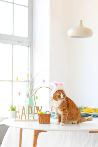 Cute Cat Bunny Ears Basket Easter Eggs Sitting Table Bedroom — Stock Photo, Image