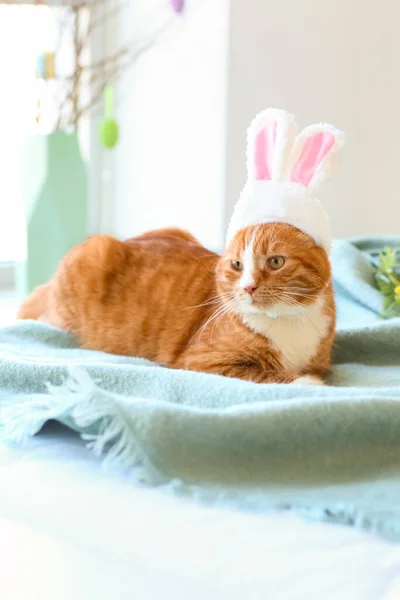 Cute Cat Bunny Ears Lying Bed Easter Holiday — Stock Photo, Image