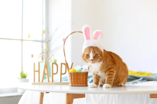 Cute Cat Bunny Ears Basket Easter Eggs Table Bedroom — Stock Photo, Image