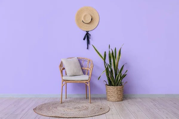 Chaise Osier Plante Intérieur Chapeau Osier Près Mur Violet — Photo