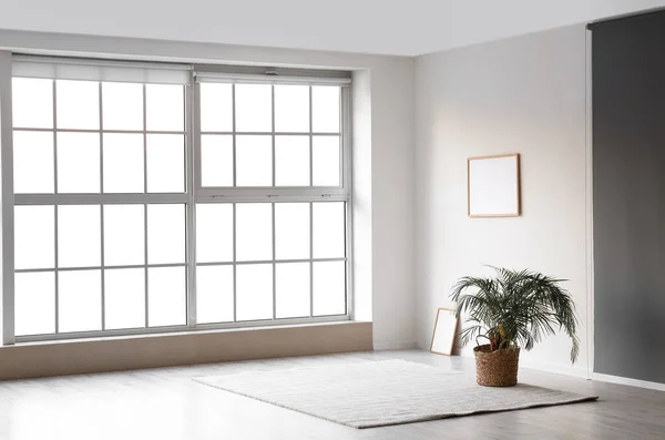 View Empty Room Houseplant Frames Carpet — Stock Photo, Image