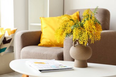 Mimoza çiçekli vazo ve dergi oturma odasındaki masada.