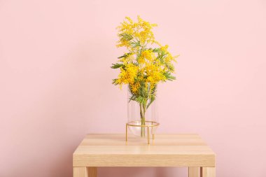 Odanın renk duvarının yanındaki masada güzel mimoza dalları olan vazo.