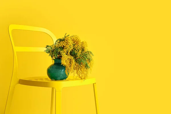 Vaso Com Flores Mimosa Cadeira Perto Parede Amarela — Fotografia de Stock