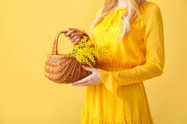 Donna Che Tiene Cesto Con Bel Ramo Mimosa Sfondo Colore — Foto Stock