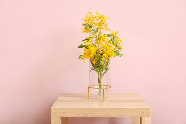 Odanın Renk Duvarının Yanındaki Masada Güzel Mimoza Dalları Olan Vazo — Stok fotoğraf