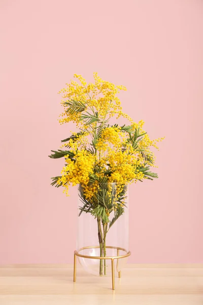 Florero Con Hermosas Ramas Mimosa Mesa Cerca Pared Color Habitación — Foto de Stock
