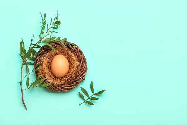 Nido Con Uovo Pasqua Foglie Verdi Sfondo Blu — Foto Stock