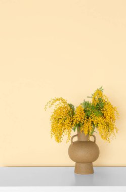 Bej duvarın yanında mimoza çiçekleri olan vazo.