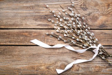 Bouquet of pussy willow branches on wooden background