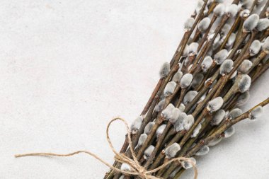 Bouquet of beautiful pussy willow branches on light background, closeup