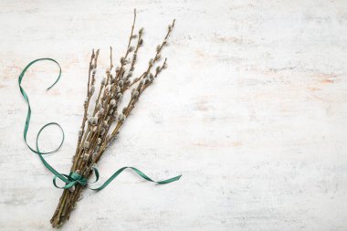 Beautiful bouquet of pussy willow branches on light background