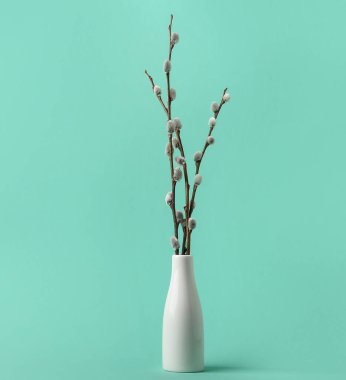 Vase with pussy willow branches on color background
