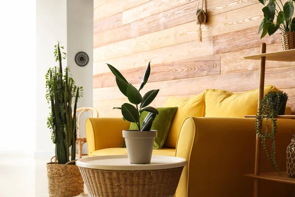 Interior Moderna Sala Estar Con Plantas Interior Pared Madera — Foto de Stock