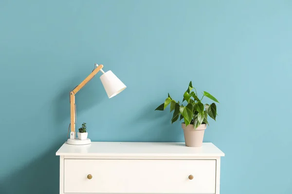Nowoczesne Lampy Rośliny Domowe Komodzie Pobliżu Niebieskiej Ściany — Zdjęcie stockowe
