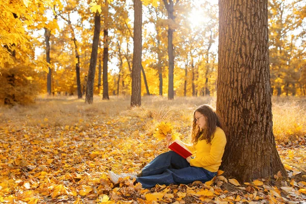 Kobieta Gospodarstwa Bukiet Jesiennych Liści Książki Pobliżu Drzewa Parku — Zdjęcie stockowe