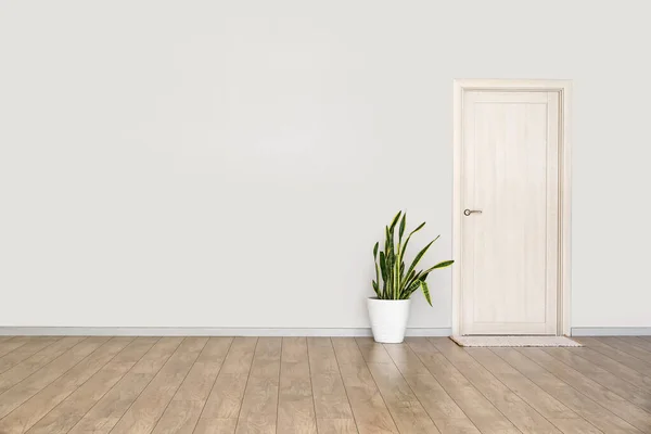 Blick Auf Lichtwand Mit Zimmerpflanze Tür Und Matte Großen Leeren — Stockfoto