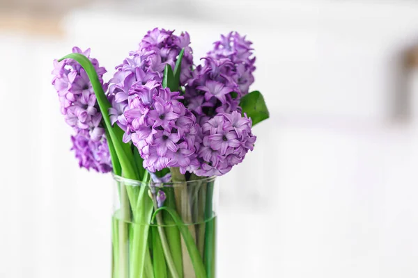 Vase Hyacinth Flowers Light Background Closeup — Stock Photo, Image