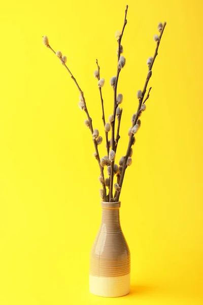 Vase Pussy Willow Branches Yellow Background — Stockfoto