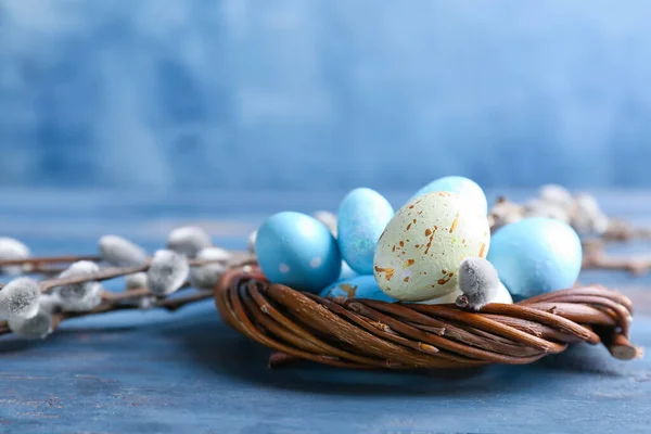 Nest Painted Easter Eggs Pussy Willow Branches Blue Background — 스톡 사진