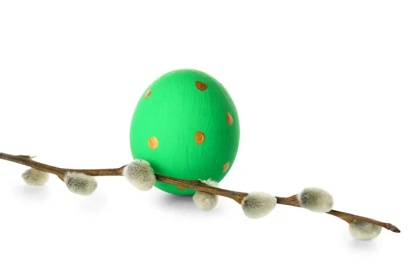 Easter Egg Pussy Willow Branch Isolated White — Stockfoto