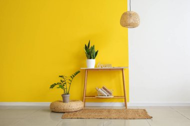 Pouf, ev bitkileriyle dolu bir masa ve renkli duvarın yanında kitaplar.