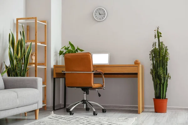 Interior Light Room Modern Workplace Shelving Unit Houseplants — Stock Photo, Image