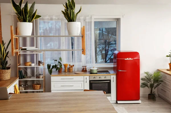 Interior Modern Kitchen Red Fridge Shelving Unit — Stock Photo, Image