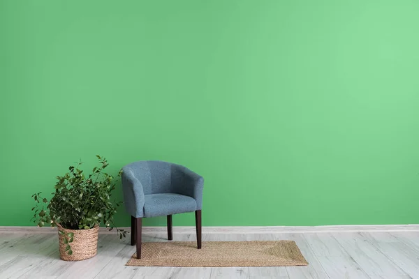Moderner Sessel Mit Zimmerpflanze Und Zimmerpflanze Der Grünen Wand — Stockfoto