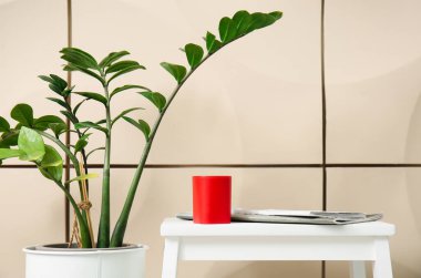 Kablosuz taşınabilir hoparlör, masadaki dergiler ve bej duvarın yanındaki bitki örtüsü.