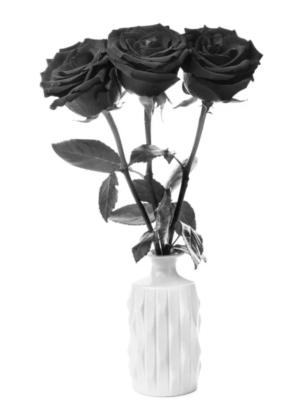Mawar Hitam Segar Dalam Vas Pada Latar Belakang Putih — Stok Foto