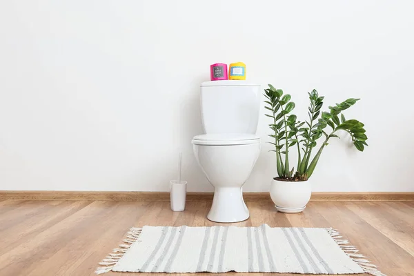 Kertas Tergulung Pada Mangkuk Toilet Dan Tanaman Rumah Tangga Interior — Stok Foto