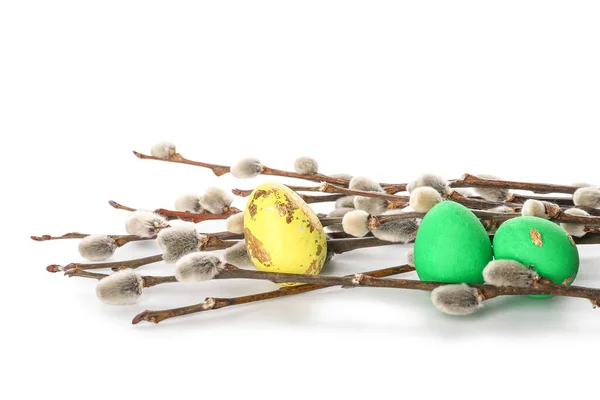 Painted Easter Eggs Pussy Willow Branches White Background — Photo