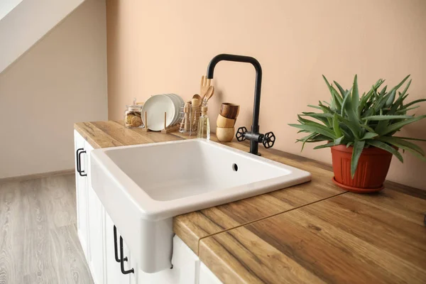 Counters Sink Houseplant Kitchen Utensils Beige Wall — Stock Photo, Image