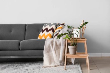 Rahat bir kanepe ve ev bitkisi ışık duvarının yanındaki merdivende.