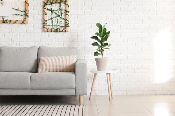 Sofá Elegante Planta Interior Cerca Pared Ladrillo Blanco — Foto de Stock