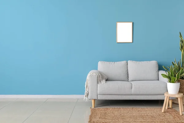 Stylish Sofa Houseplant Blue Wall — Stock Photo, Image