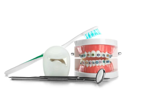 白い背景に隔離されたブレース 歯科用ツール フロスと歯ブラシを持つ顎のモデル — ストック写真