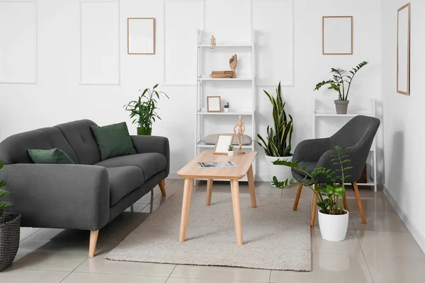 Moderne Wohnzimmereinrichtung Mit Schönen Zimmerpflanzen Sofa Und Sessel — Stockfoto