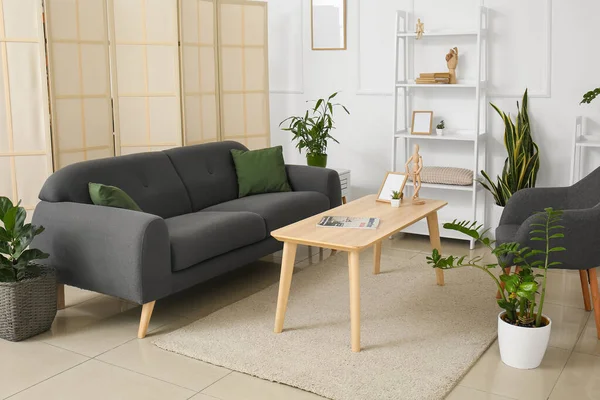 Moderne Wohnzimmereinrichtung Mit Schönen Zimmerpflanzen Sofa Und Sessel — Stockfoto
