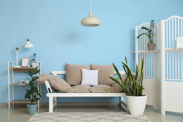 Hermosas Plantas Interior Pantalla Plegable Cómodo Sofá Cerca Pared Azul —  Fotos de Stock