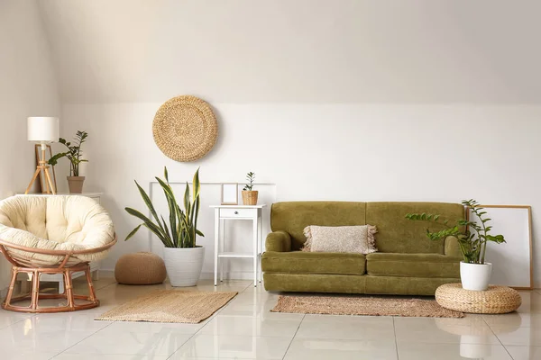 Comfortable Sofa Houseplants Pouf White Wall Room — Stock Photo, Image