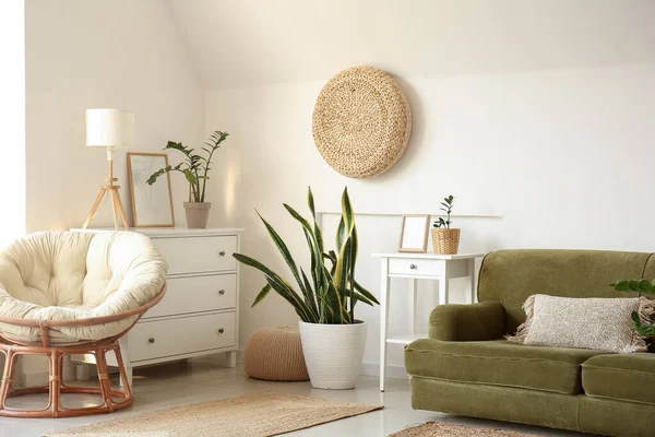 Comfortable Sofa Houseplants Pouf White Wall Room — Stock Photo, Image