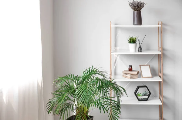 Unité Rayonnage Avec Décor Plantes Intérieur Près Mur Léger — Photo