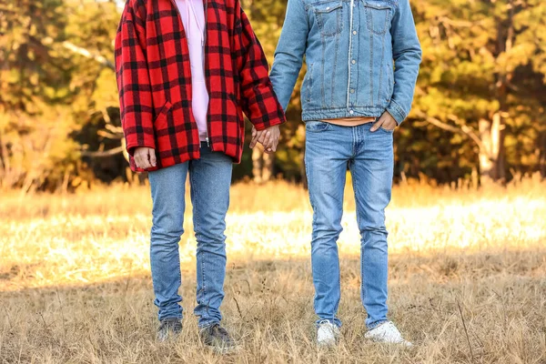 Feliz Pareja Gay Cogida Mano Aire Libre Otoño Día — Foto de Stock