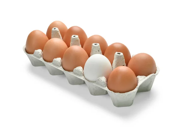 Soporte Con Huevos Pollo Sobre Fondo Blanco — Foto de Stock